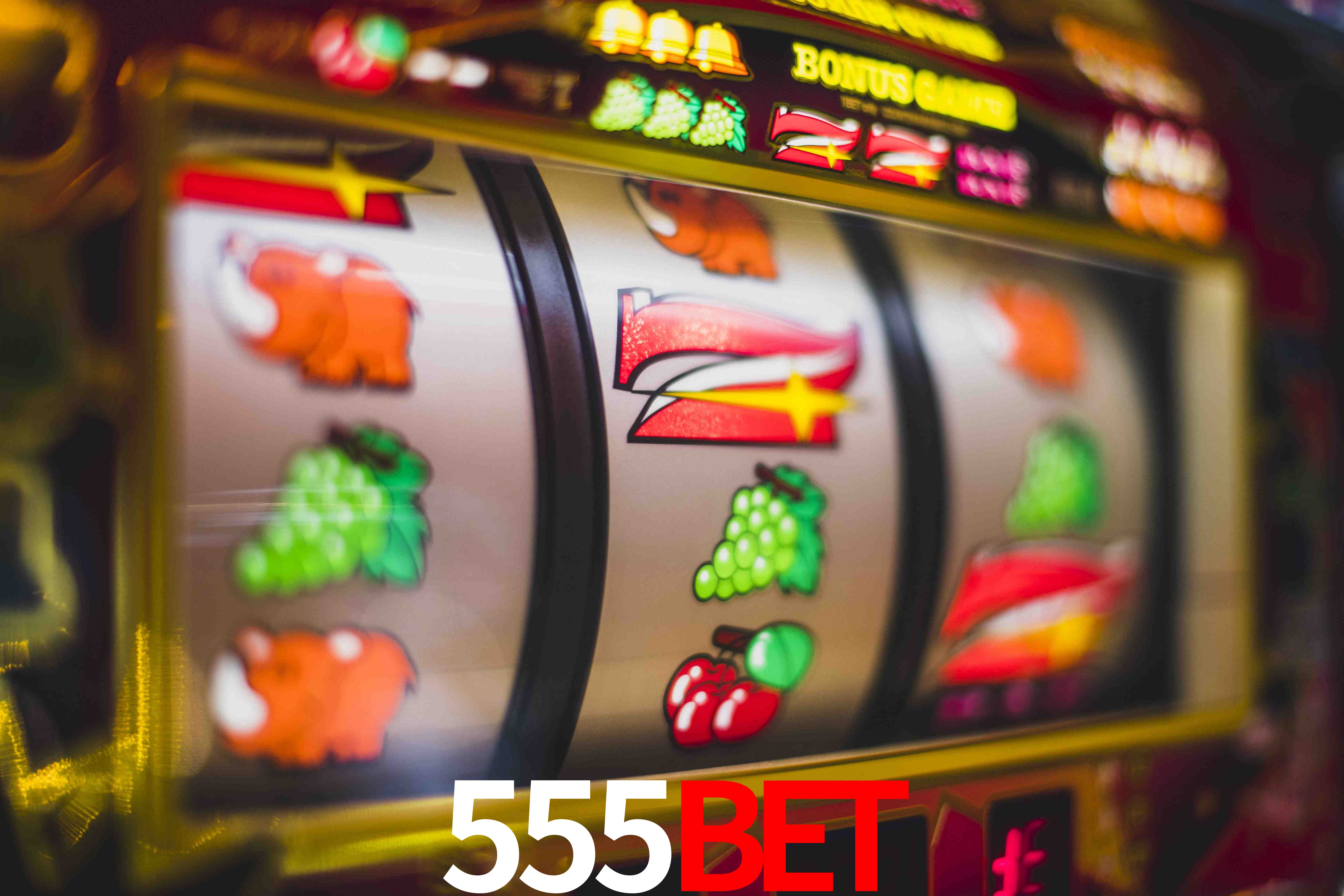 Daily Bonuses 555bet