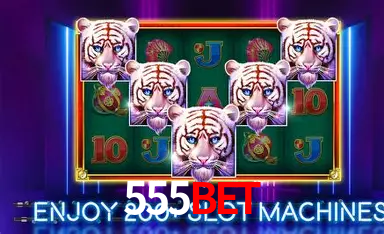 Security Systems 555bet